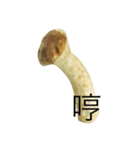 oh！mushroom（個別スタンプ：18）
