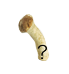 oh！mushroom（個別スタンプ：22）