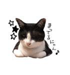 LKsis（個別スタンプ：38）