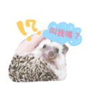 I'm hedgehog-daikichi（個別スタンプ：2）