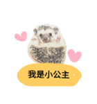 I'm hedgehog-daikichi（個別スタンプ：4）