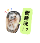 I'm hedgehog-daikichi（個別スタンプ：7）