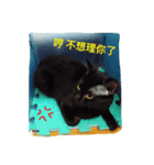 Qboy's daily（個別スタンプ：1）