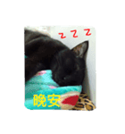 Qboy's daily（個別スタンプ：2）