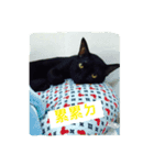 Qboy's daily（個別スタンプ：3）
