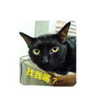 Qboy's daily（個別スタンプ：4）