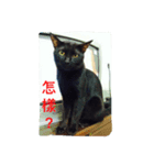Qboy's daily（個別スタンプ：5）