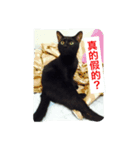 Qboy's daily（個別スタンプ：6）