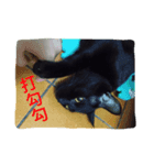 Qboy's daily（個別スタンプ：7）