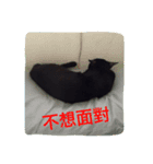 Qboy's daily（個別スタンプ：8）