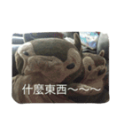 bean.s life（個別スタンプ：6）