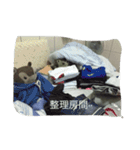 bean.s life（個別スタンプ：7）