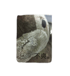 bean.s life（個別スタンプ：8）