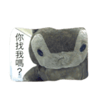 bean.s life（個別スタンプ：9）