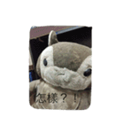 bean.s life（個別スタンプ：15）
