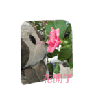 bean.s life（個別スタンプ：17）