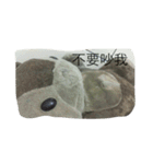 bean.s life（個別スタンプ：19）