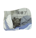 bean.s life（個別スタンプ：20）