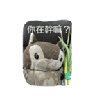 bean.s life（個別スタンプ：23）