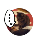 猫のみりちゃんスタンプ（個別スタンプ：10）