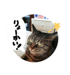 猫のみりちゃんスタンプ（個別スタンプ：14）