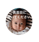はるの日常。（個別スタンプ：21）