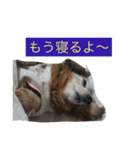 321STYLE（個別スタンプ：4）