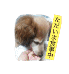 321STYLE（個別スタンプ：21）