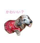 321STYLE（個別スタンプ：30）