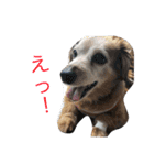 321STYLE（個別スタンプ：34）