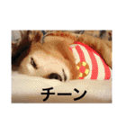 321STYLE（個別スタンプ：39）