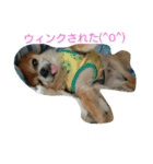 コンサート仕様スタンプ（個別スタンプ：10）