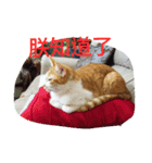 Coinbaby（個別スタンプ：8）