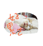 Coinbaby（個別スタンプ：9）