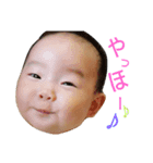 こはるんスタンプだよ2（個別スタンプ：5）