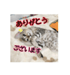 Le0Lua2（個別スタンプ：4）
