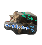 Le0Lua2（個別スタンプ：7）