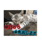 Le0Lua2（個別スタンプ：10）