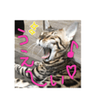 Le0Lua2（個別スタンプ：19）