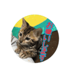 Le0Lua2（個別スタンプ：30）