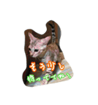 Le0Lua2（個別スタンプ：32）