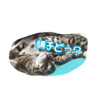 Le0Lua2（個別スタンプ：36）