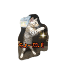 Le0Lua2（個別スタンプ：38）