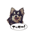 なゆあむ2（個別スタンプ：1）
