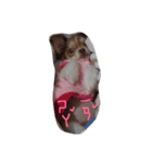 bbpp（個別スタンプ：3）