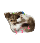 bbpp（個別スタンプ：5）
