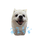 bbpp（個別スタンプ：6）