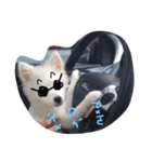 bbpp（個別スタンプ：8）