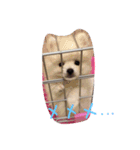 bbpp（個別スタンプ：10）