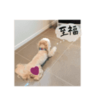 れもんのスタンプ（個別スタンプ：5）